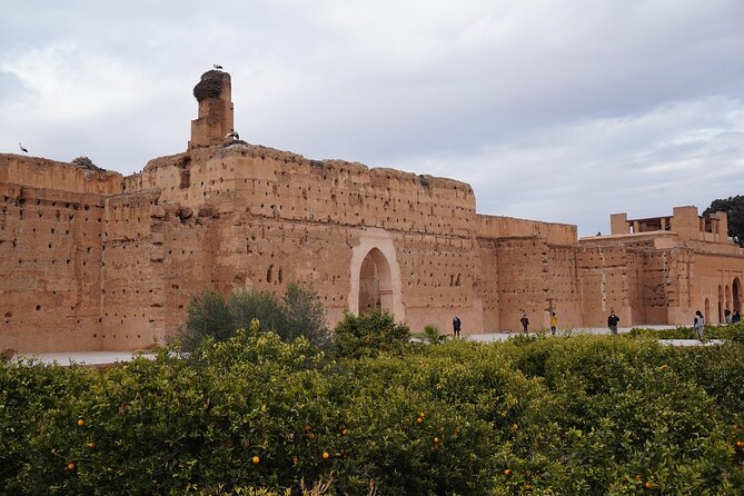 Marrakech The History and Culture Day Trip - Cancellation Policy and Traveler Tips
