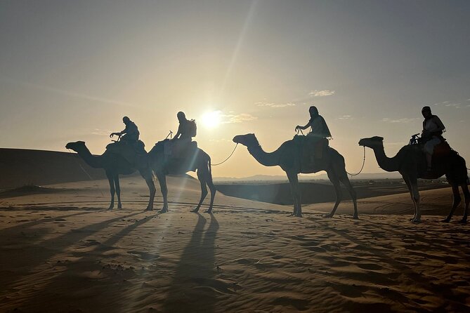 Marrakech to Fez Popular 3-Day by Merzouga Desert Overnight Tour - Reviews and Cancellations