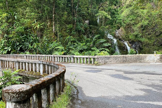 Maui by Storm: Epic Private Luxury Road to Hana Adventure Tour - Knowledgeable Guides