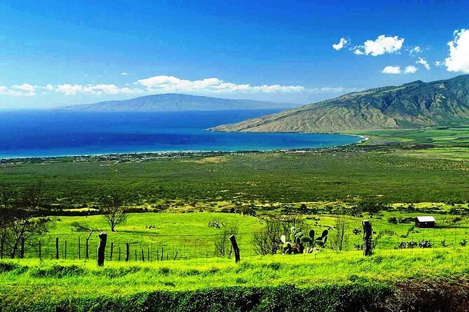 Maui Island Private Day Tour - Negative Review and Host Response