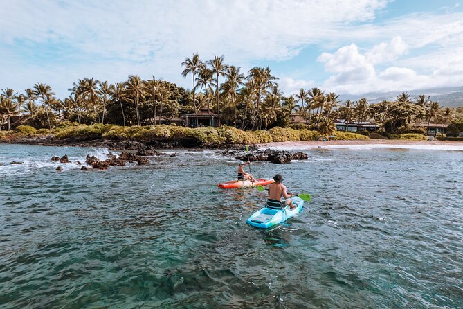 Maui'S ONLY Electric Powered Kayak & SUP Hybrid Rentals. - Cancellation Policy