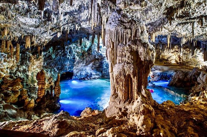Mayan Underworld Experience (Cenote-Museum) - Private Tour: an Exclusive Journey Into the Cenote-Museum