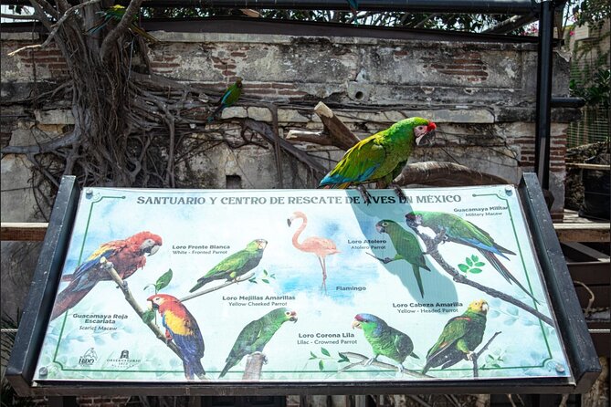 Mazatlan City Tour and Observatory - Feedback on Guide, Pickup, and Traffic