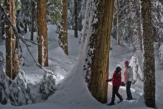 Medicine Trail Snowshoe Tour - Check-in Process