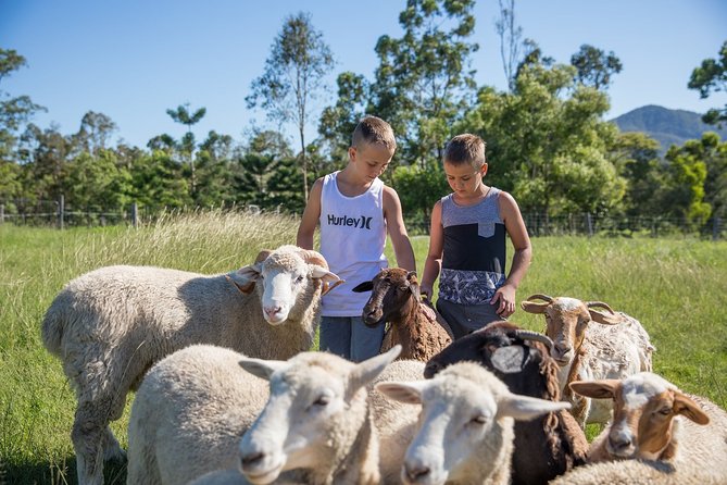 Meet the Animals: Small-Group Farm Tour, Brisbane - Pricing and Booking Details
