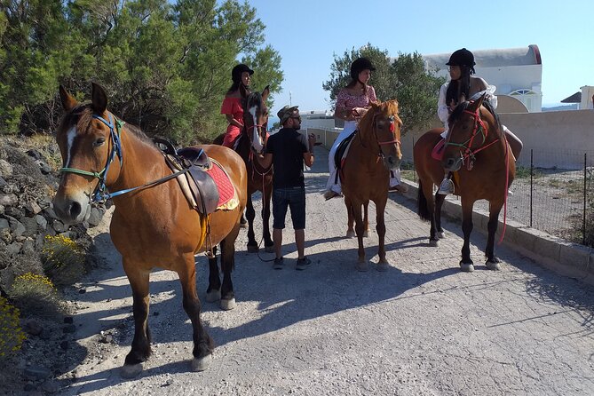 Megalochori Horseback Excursion  - Santorini - Common Questions