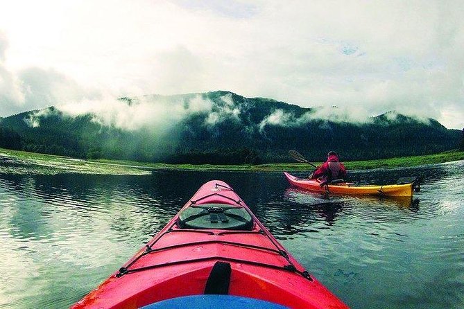 Mendenhall Glacier View Sea Kayaking - Trip Cut Short