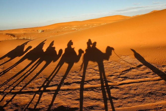 Merzouga Camel Trekking & Overnight Desert Camp - Visuals and Reviews