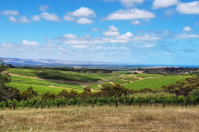 Micro-Group Mclaren Vale Wine Tour From Adelaide - Pricing and Offer