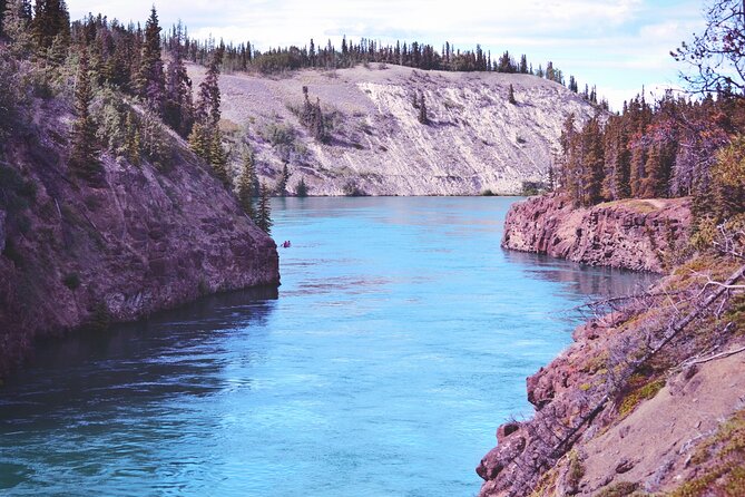 Miles Canyon: a Smartphone Audio Nature Tour - Highlights and Stories of Grey Mountain and Canyon City