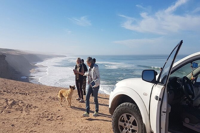 Mini Sahara Atlantic Ocean Jeep Tour With Lunch - Birdwatching in the Area