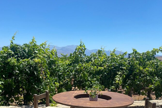 Minoan Crete: Knossos Palace, Winery Visit and Lunch at Archanes - Uncovering the Mysteries of Minoan Civilization