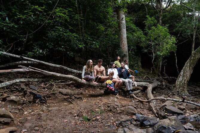 Minyon Falls Full-Day Walking Tour - Enjoying the Spectacular Views of Minyon Falls