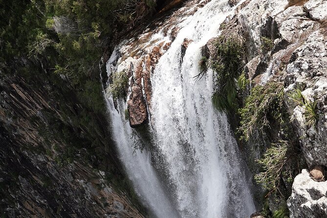 Minyon Falls Half-Day Walking Tour - Tour Highlights