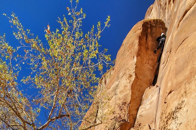 Moab Rock Climbing - Short Day - Important Tips and Safety Measures for Climbers