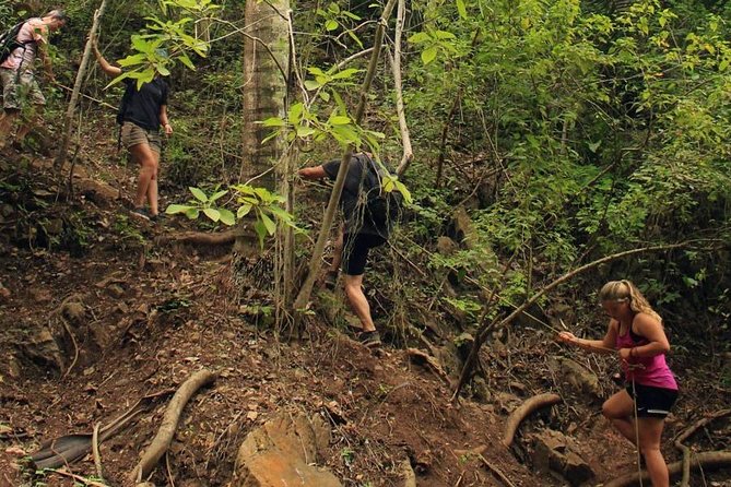 Monkey Mountain Jungle Hike Adventure - Pricing and Booking Details