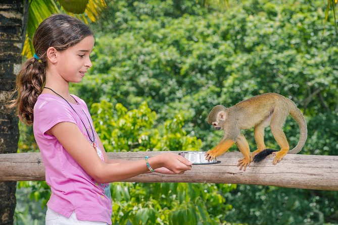 Monkeyland and Plantation Safari From La Romana - Reviews and Feedback