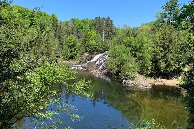 Mont Tremblant Private Day Tour From Montreal - Traveler Testimonials