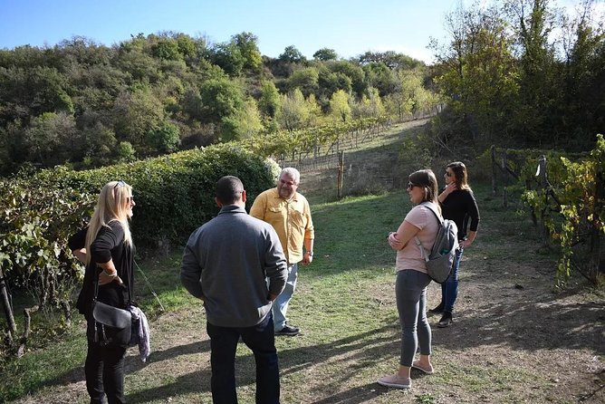 Montalcino Wine Tour - Tour Details