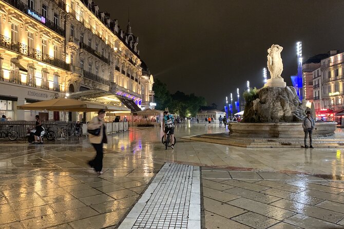 Montpellier Private Transfer From Montpellier Airport to City Centre - Additional Information