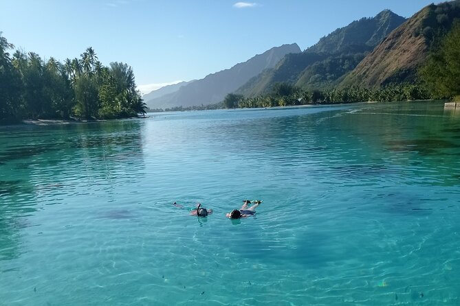 Moorea Half Day Private Tour With Snorkeling and Cruising the Lagoon - Cruising the Uncrowded West Coast