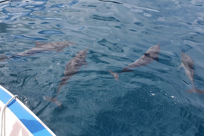 Moorea Lagoon Tour With Lunch - Price and Group Size Variations