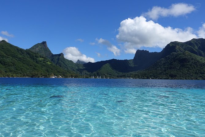 Moorea Private Boat Tour / Sea Scooter Snorkeling Tour - The Sum Up