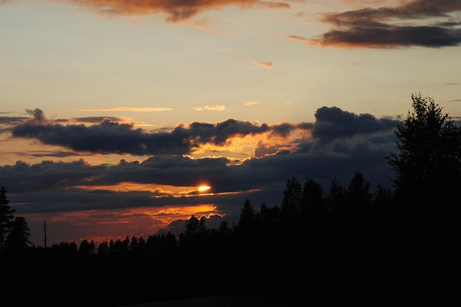 Moose Safari in the Wild Sweden Tiveden - Booking and Participation Guidelines