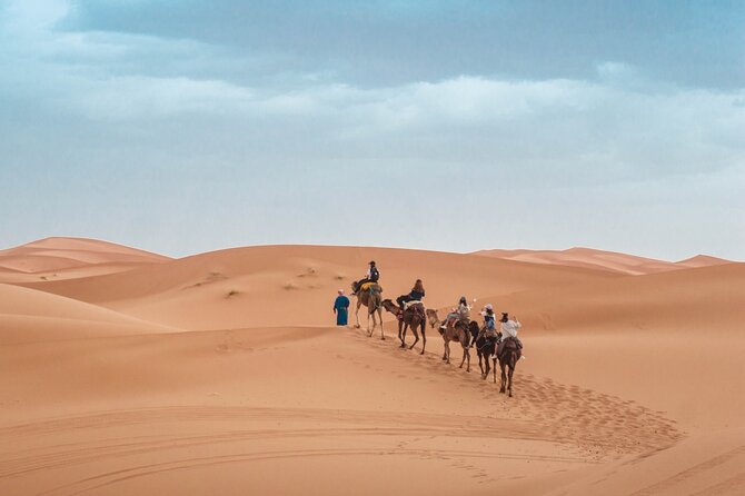 Morning Desert Safari From Abu Dhabi -Camel Ride,Sand Boarding,Camel Farm Visit - Date and Traveler Selection