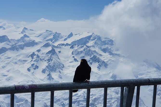 Mount Titlis Ticket: Self-Guided Alpine Adventure From Luzern - Common Questions