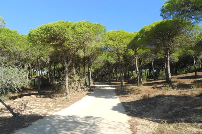 Mountain Bike Tour Conil De La Frontera Wine Bike Tour - Cancellation Policy