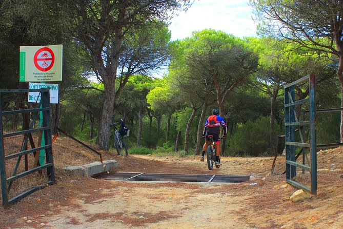 Mountain Bike Tour Vejer De La Frontera - The Sum Up
