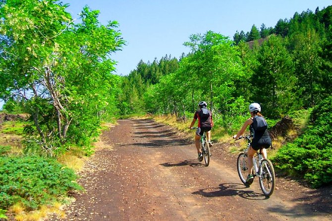 Mountain Biking Etna Pick-Up From Catania - Reviews and Ratings
