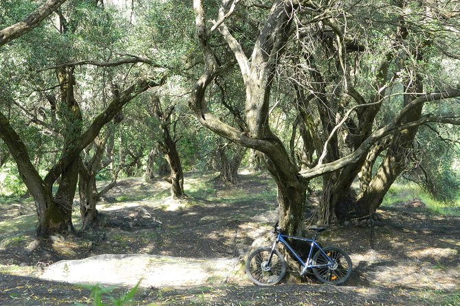 Mountain Biking in Corfu, Greece - Traveler Photos and Reviews