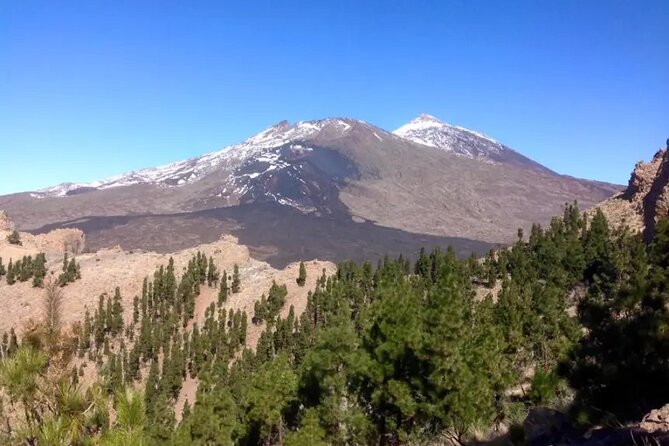 Mt Teide Volcano Night Guided Tour From Southern Tenerife - Pricing and Offer Details