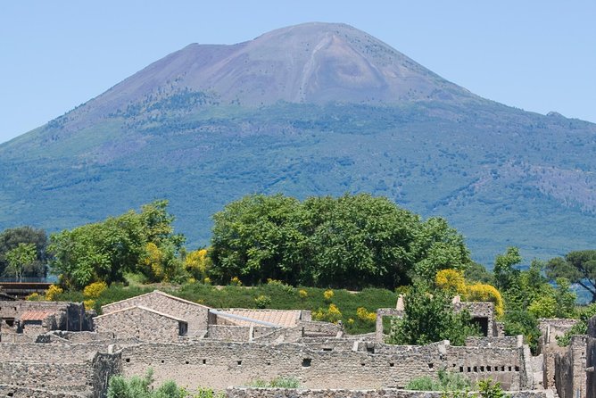 Naples City and Pompeii Half-Day Sightseeing Tour From Sorrento - Specific Tour Aspects