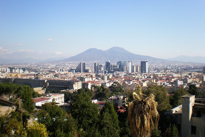 Naples Shore Excursion: Mt Vesuvius Half-Day Trip From Naples - Common Questions