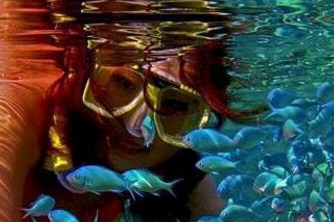 Nassau Sail and Snorkel Tour - Customer Reviews