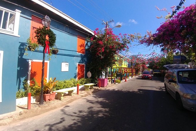 Nassau Shore Excursion: Sightseeing and Snorkeling Tour - Customer Reviews and Recommendations