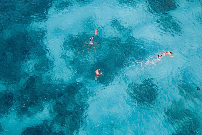 Nassau Sightseeing Tour via Coach With Snorkeling  - New Providence Island - End Point and Important Information