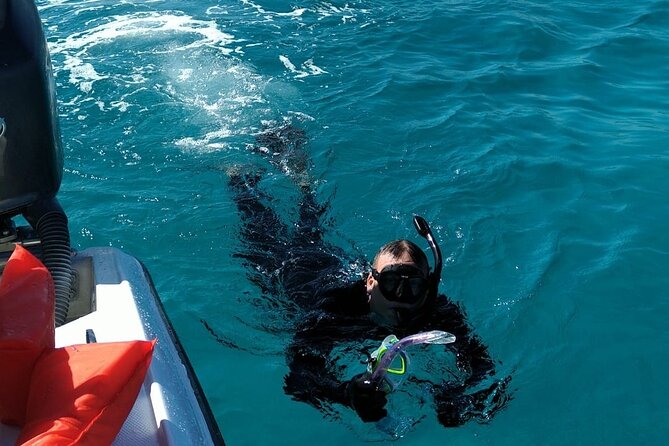 Nassau Small-Group Half-Day Boat and Snorkel Tour  - New Providence Island - Time on Rose Island and Quality/Safety