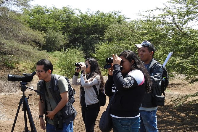 Nature Tour, Pómac Forest With Picnic Breakfast Included. - Tour Information