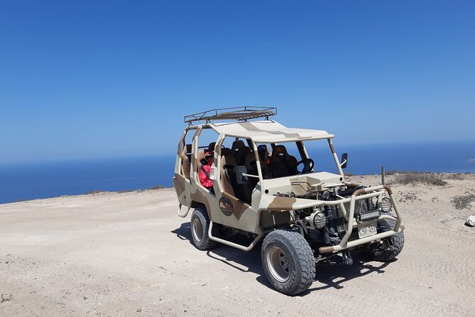 Nazca Flight and San Fernando Reserve Program - Traveler Photos