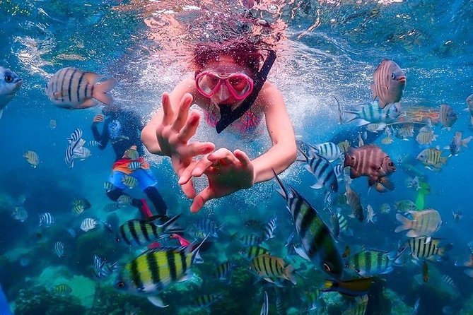 Nemo Island Experience With Drone Photos and Lunch - Activities and Attractions on Nemo Island