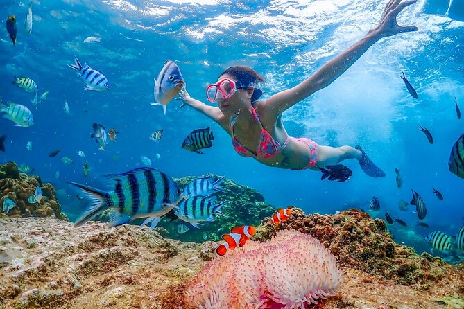 Nemo Island Full Day Tour by Speedboat With Snorkeling Experience - Booking Information