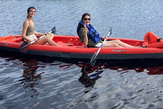 New Smyrna Dolphin and Manatee Adventure Tour - Pricing, Booking, and Location
