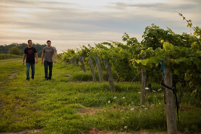Niagara-on-the-Lake Winery Tutored Tasting Plus Snacks  - Niagara Falls & Around - Snacks and Cheese Pairings