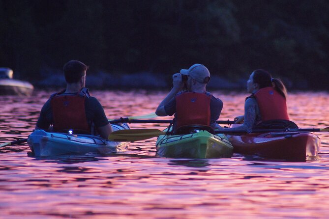 Nickajack Bat Cave Kayak Tour With Chattanooga Guided Adventures - What to Expect During the Tour