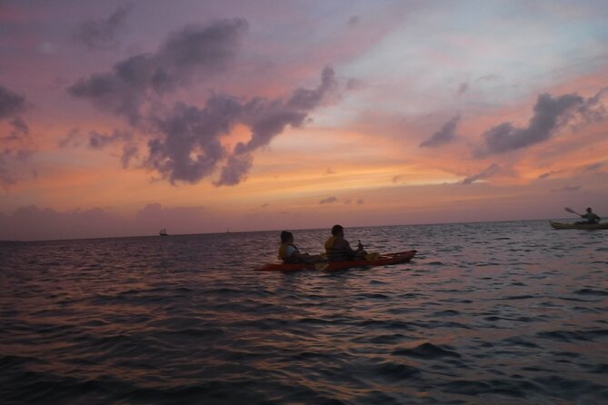 Night Glass Kayak Tour - Traveler Reviews and Recommendations