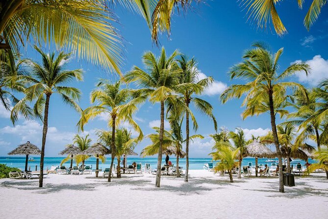Nightlife Barhopping Tour With DJ and Dancing on Party Bus in Aruba - Overview and Inclusions